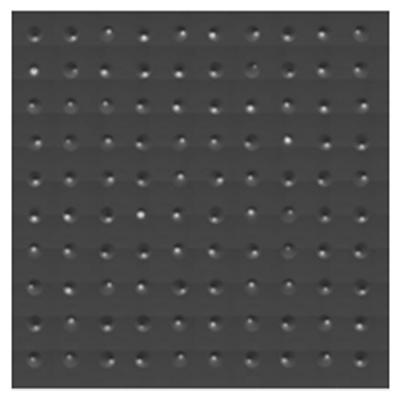 Image of 100 mCTCs printed to a slide 