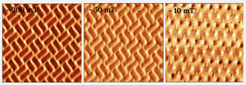  MFM images of Shakti Spin Ice Structure