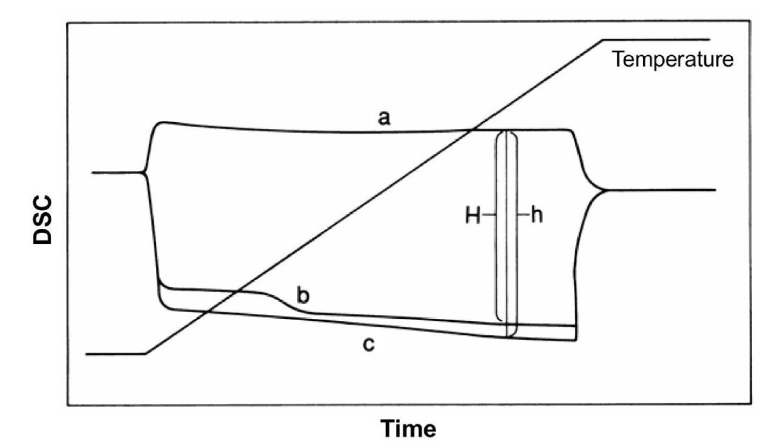 Figure 1 DSC measurement of specific heat capacity. a : empty pan b : sample
            c : reference