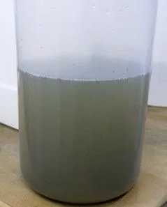 fig.2: Concentrated rainwater