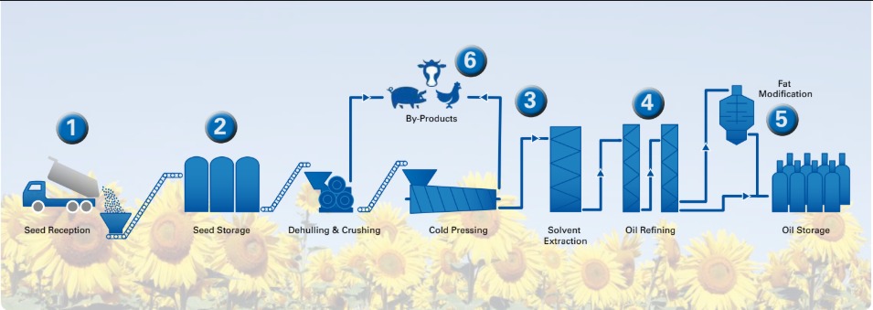 Production Chain  