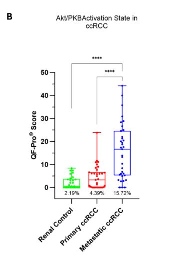 Akt activation state  