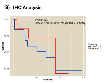 IHC Analysis  