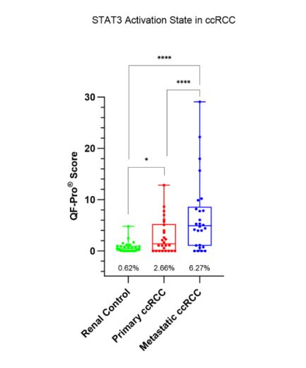 STAT3 Activation State in ccRCC  